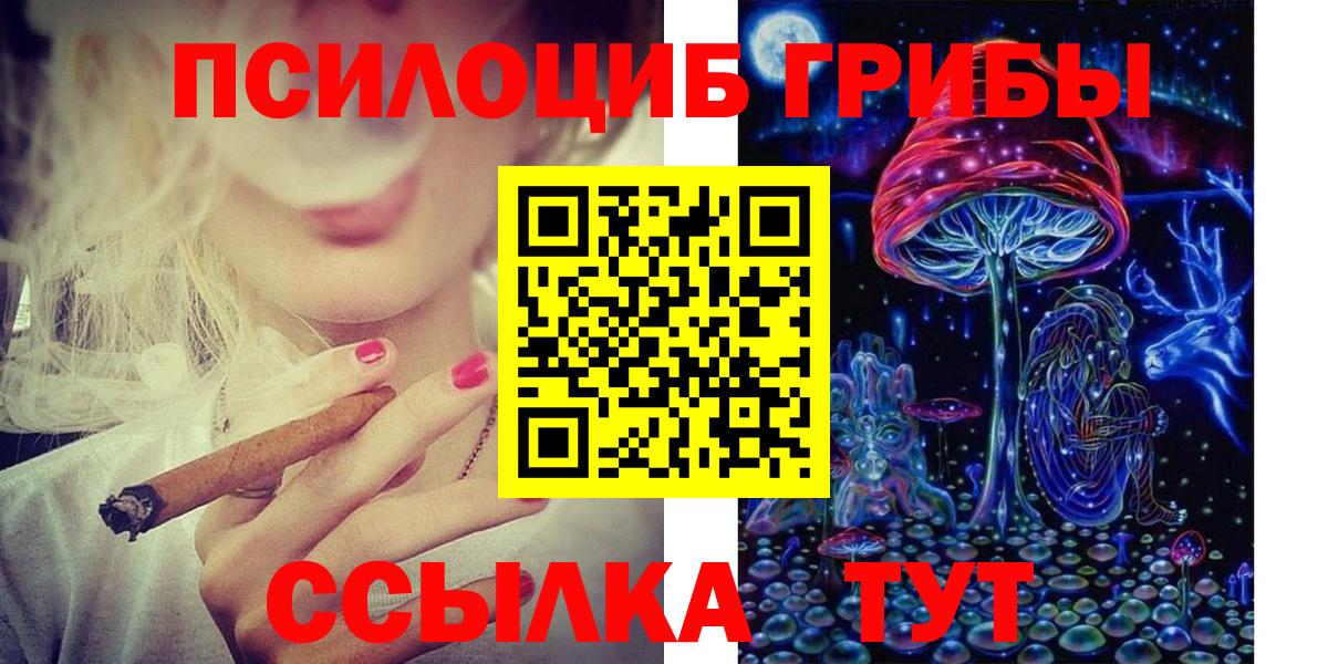 Псилоцибиновые грибы GOLDEN TEACHER Тихвин